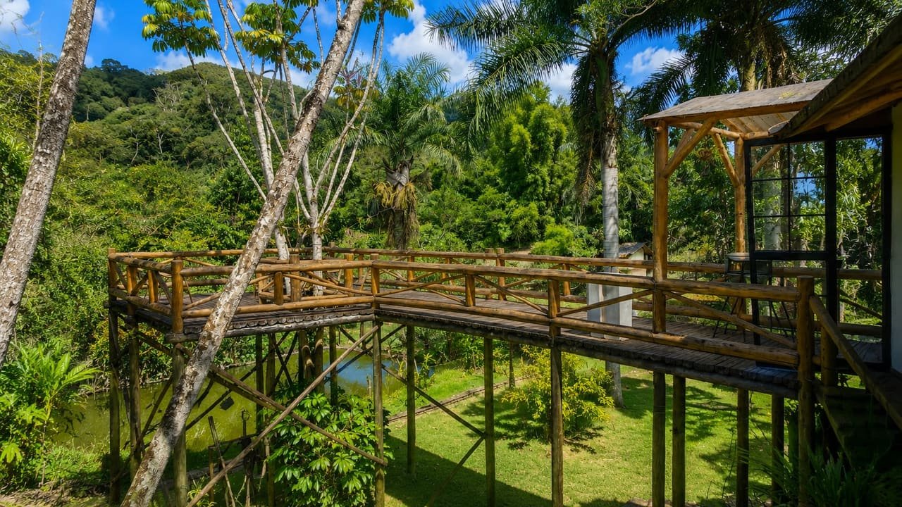 Vista elevada do deck da Chácara dos Lagos sobre o lago e a Mata Atlântica